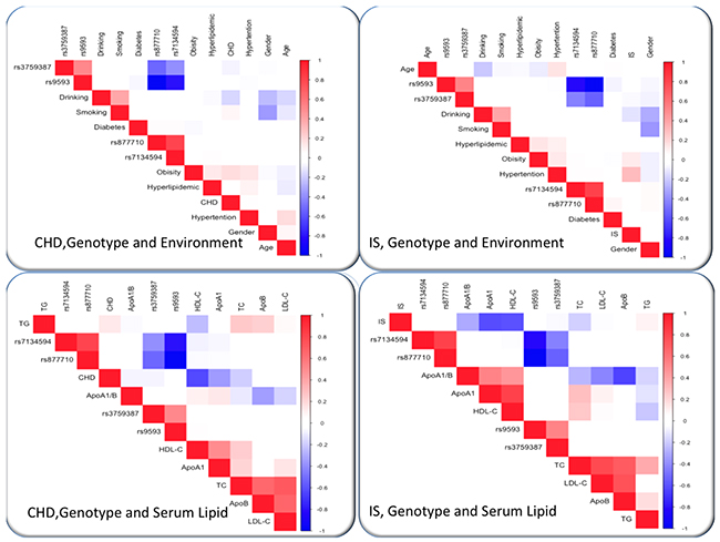 Correlation among environmental exposures and serum lipid variables, as well as the candidate loci in CHD or IS.