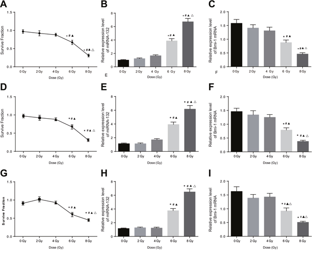 Comparison of miRNA-132 and Bmi-1 expression in CC cells after different radiation doses.