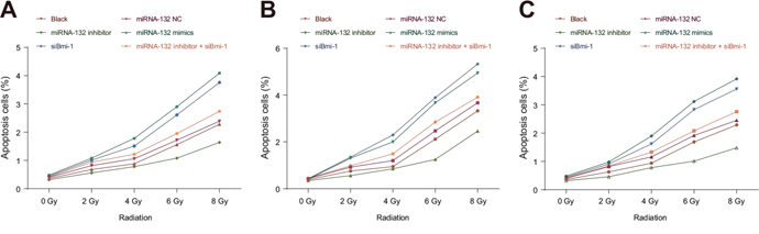Effects of miR-132 on apoptosis in HeLa, SiHa, and C33A cells after different doses of radiation.