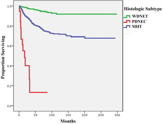 Cancer-specific survival rates of all included patients with appendiceal neuroendocrine malignancies by histologic subtype.