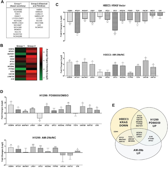 miR-29b dependent transcriptional suppression of TSGs downstream of KRAS transformation.