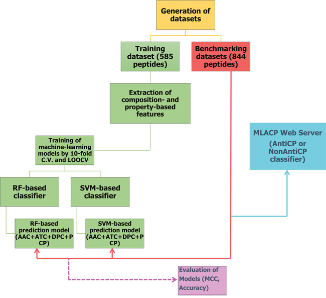 Flowchart showing steps involved in the development of prediction model (MLACP methodology).