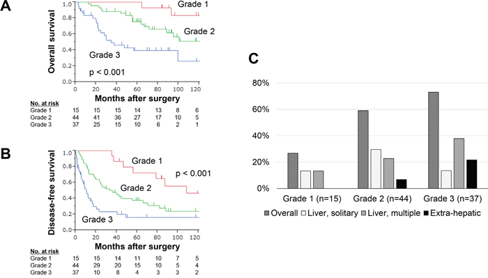 Performance of the integrated multigene expression panel in the validation set.