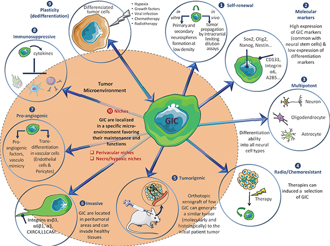 Overview of main GIC properties.