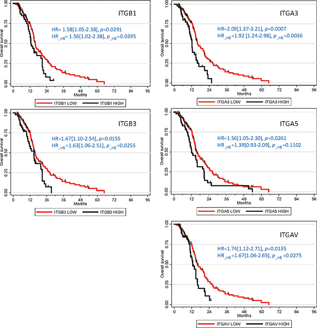 Integrins overexpression association with poor prognosis in GB patients.