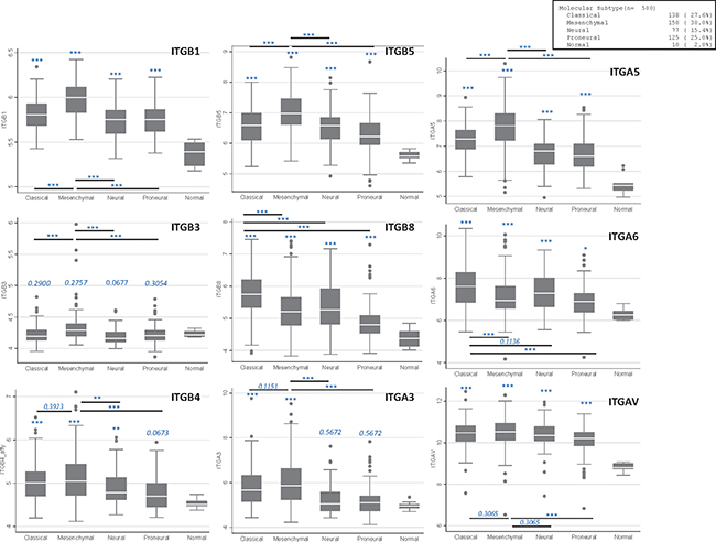 Main integrins expression in GB samples according to molecular subtypes.