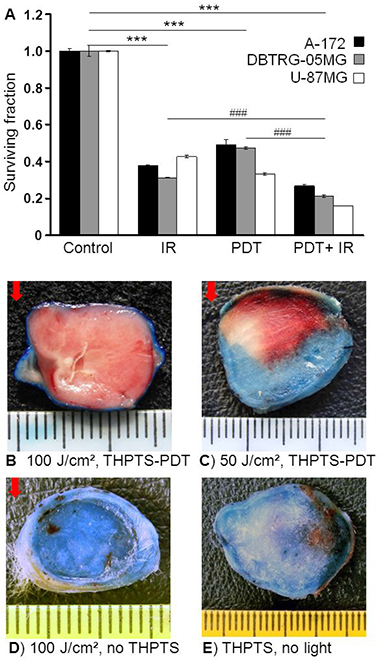 Figure 5: