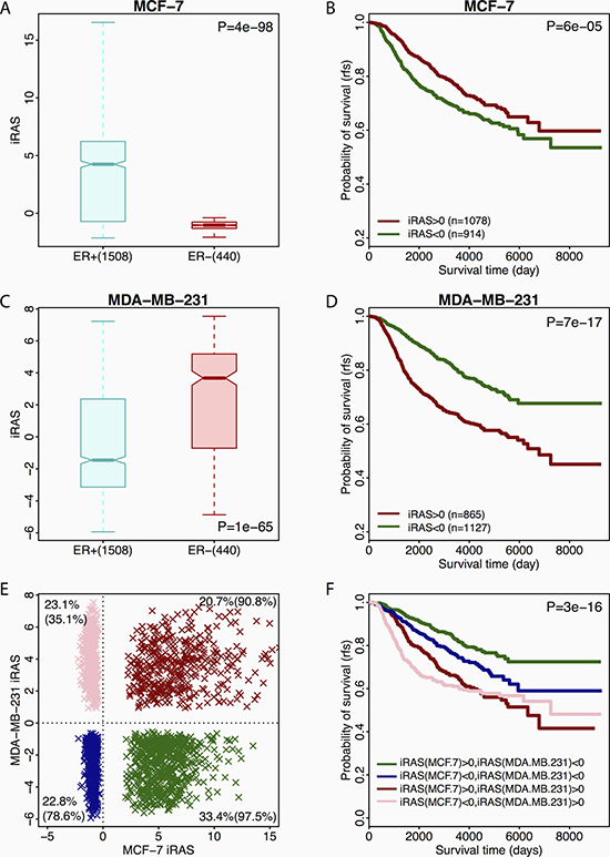 Associations between different FOXM1 activities and primary breast cancer sample prognosis.