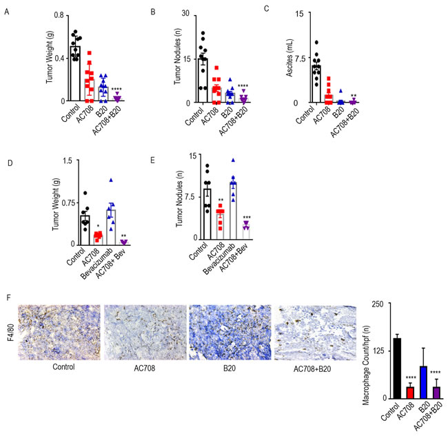 AC708 combined with B20 decreases tumor burden in syngeneic and PDX mouse models.