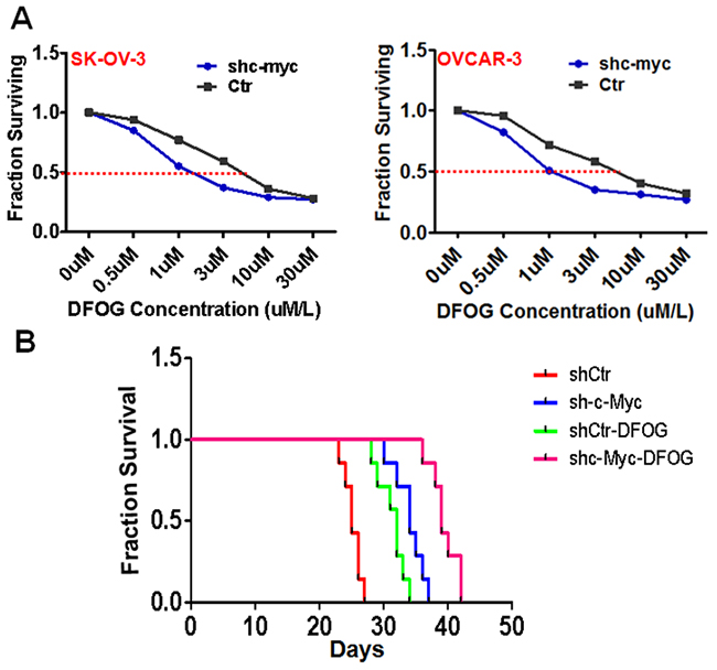 Suppression of c-Myc sensitizes ovarian cancer cells to DFOG in vitro and in vivo.
