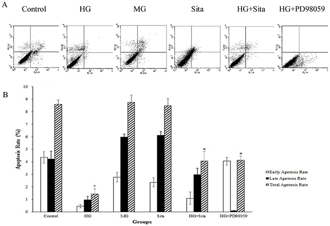 Sitagliptin (Sita) attenuated the inhibitory effects of HG on apoptosis of cultured VSMCs.
