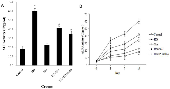 Sitagliptin reversed elevated ALP activity induced by HG in VSMCs.