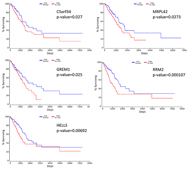 Kaplan-Meier survival curves using TCGA data validate the prognostic value of genes overexpressed in solid subtype lung AC.