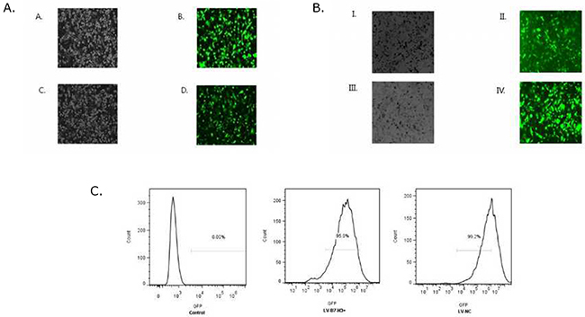 Figure 7: