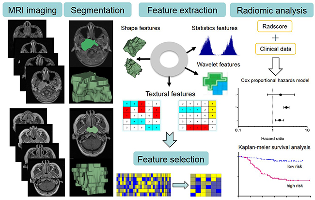 The image post-processing workflow. Image segmentation is performed on contrast-enhanced T1-w and T2-w MRI images