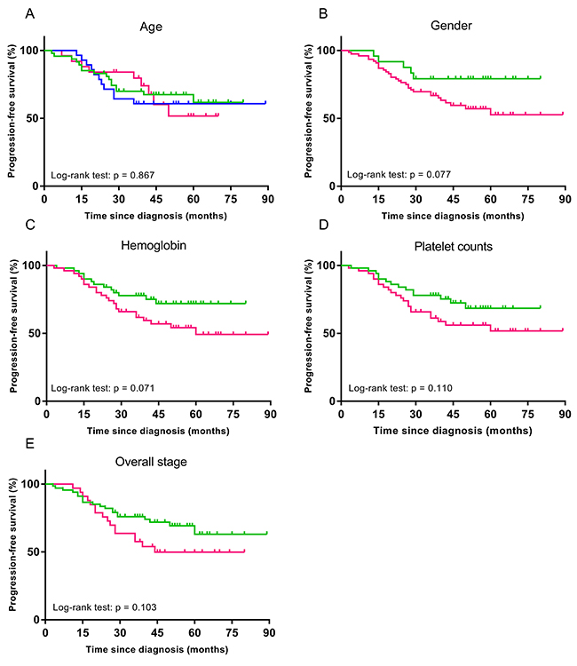 Stratified Kaplan-Meier analyses were performed to estimate progression-free survival in clinical subgroups