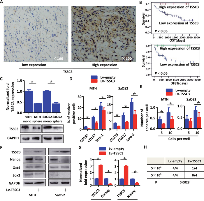 Higher expression of TSSC3 indicates improved prognosis for osteosarcoma patients, represses a stem-like phenotype of OS cells and decreases Nanog expression.
