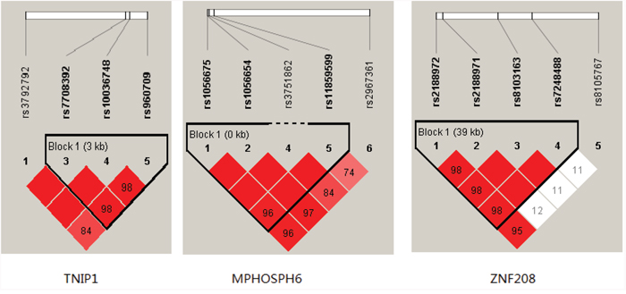 Haplotype block map for the TNIP1, MPHOSPH6 and ZNF208 SNPs genotyped in this study.