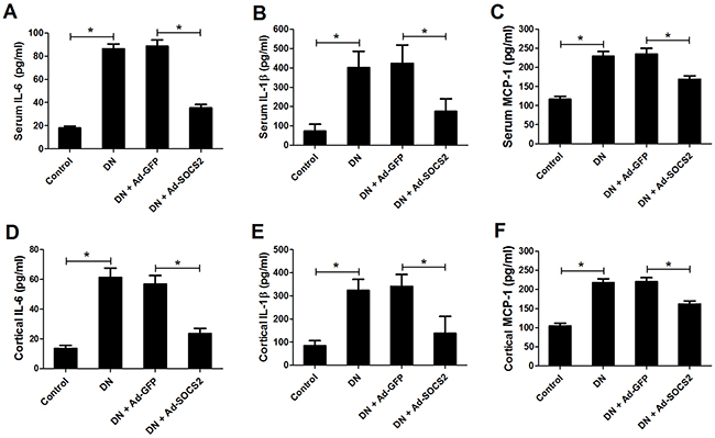 Effect of SOCS2 overexpression on the generation of IL-6, IL-1&#x03B2; and MCP-1 in STZ-induced DN rats.