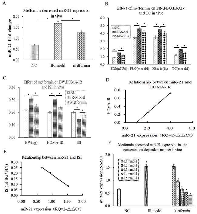 miR-21 was positively correlated with HOMA-IRI and metformin decreased miR-21 expression in concentration-dependent way.