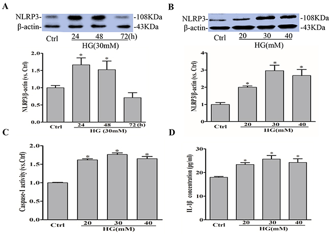 High glucose induces NLRP3 inflammasome activation in RAECs.