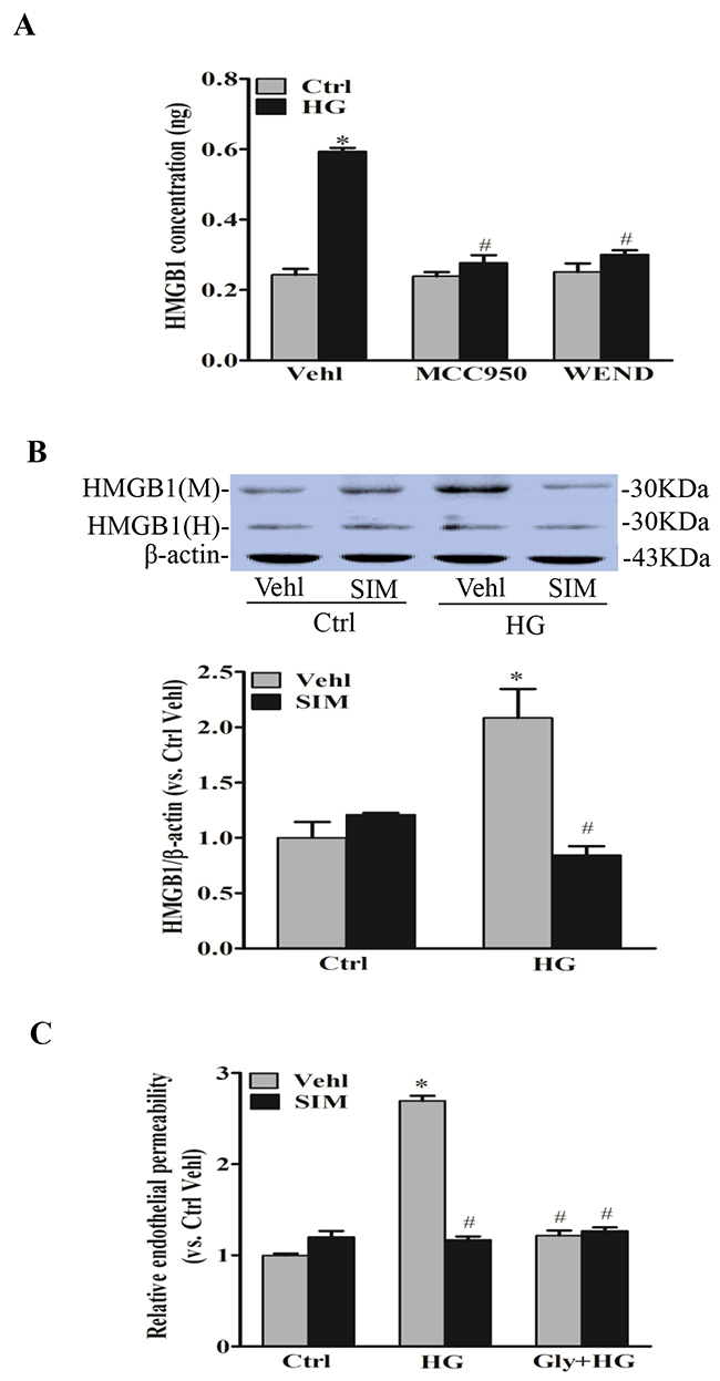 Simvastatin inhibited NLRP3 inflammasome-dependent HMGB1 release.