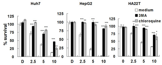 Rescue of Huh7, HepG2 or HA22T cells from lapatinib-induced cytotoxicity by the autophagy inhibitors. Huh7, HepG2 or HA22T cells were left untreated or were treated with various concentrations of lapatinib in the presence or absence of 1.25-mM 3-MA or 5 μM chloroquine for 48h. Relative amounts of viable cells were detected using the MTS assay, and the relative percentage of growth inhibition was calculated as described in Fig. 1.