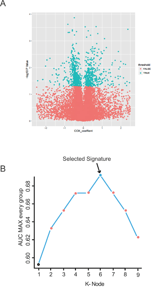 Identification of the PCGs-lncRNAs-microRNAs signature in the training dataset.