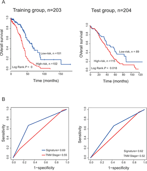 The PCGs-lncRNAs-microRNAs signature predicts overall survival of patients with OC and comparison the survival prediction power of the PCGs-lncRNAs-microRNAs signature and TNM stage.