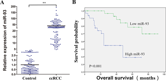 Clinical significance of miR-93-3p in ccRCC patients.