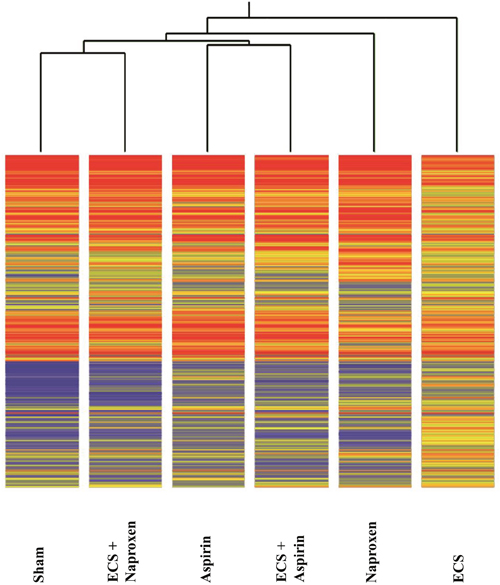 Unsupervised hierarchical cluster analysis (HCA) displaying the overall expression of 1135 miRNAs in the lung of 10-week old A/J mice of both genders, as related to exposure to ECS since birth and/or administration od either aspirin or naproxen after weaning.