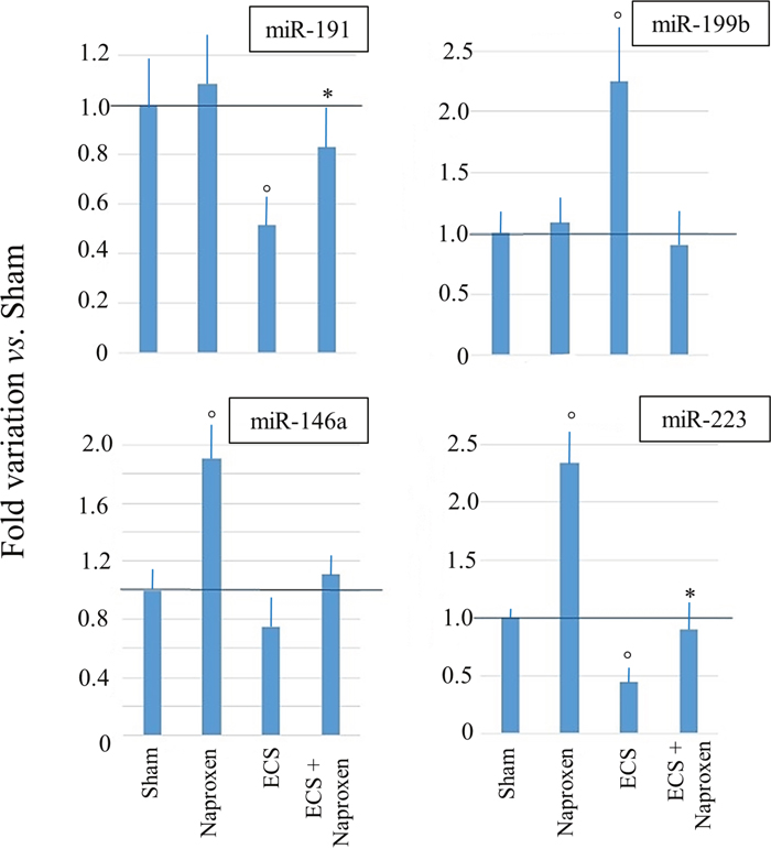 Results of qPCR analyses evaluating the expression of 4 miRNAs in the lung of 10-week old A/J mice of both genders, as related to exposure to ECS since birth and/or administration of either aspirin or naproxen after weaning.