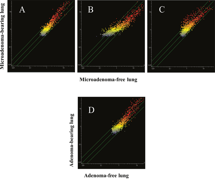 Scatter-plots comparing the profiles of 1135 miRNAs in the blood serum of 7.5-month old Swiss H mice of both genders exposed to MCS during the first 4 months of life and treated with naproxen after weaning, as related to the presence either of microadenomas (upper panels) or adenomas (bottom panel).