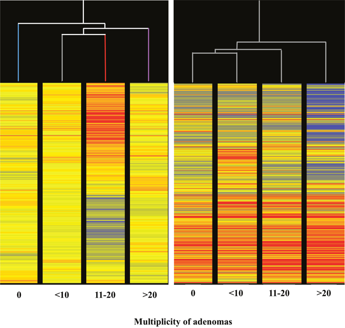 Unsupervised hierarchical cluster analysis (HCA) of the profiles of 1135 miRNAs, according to the lung microadenoma multiplicity, in the blood serum of 7.5-month old Swiss H mice of both genders exposed to MCS during the first 4 months of life and treated with either aspirin (left panel) or naproxen (right panel) after weaning.
