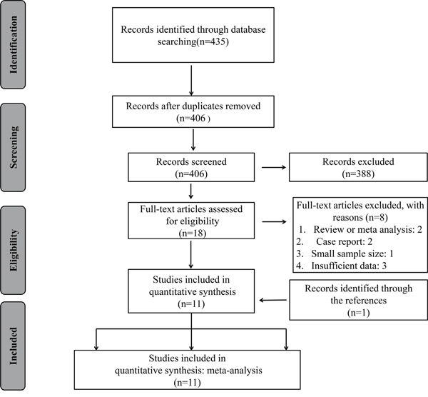 The flow diagram of the selection process in the meta-analysis.