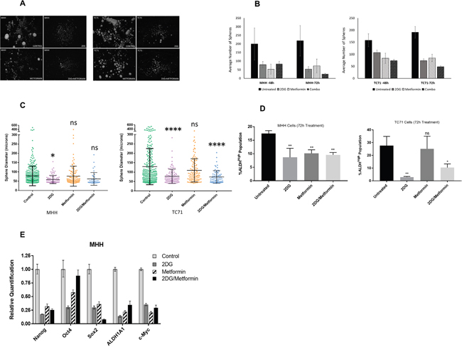 2DG and metformin can modulate Ewing sarcoma stem cell subpopulation cells.