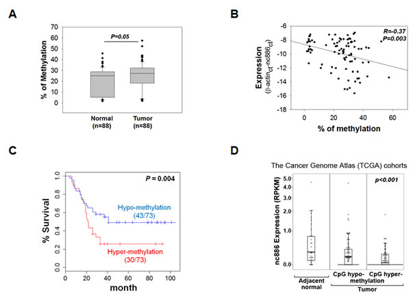 nc886 CpG methylation in the clinical specimens and the TCGA cohorts.