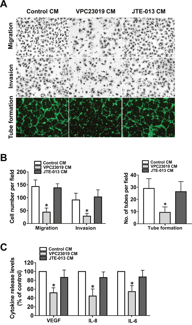 Effect of S1PR1-3 inhibition on angiogenesis in vitro.