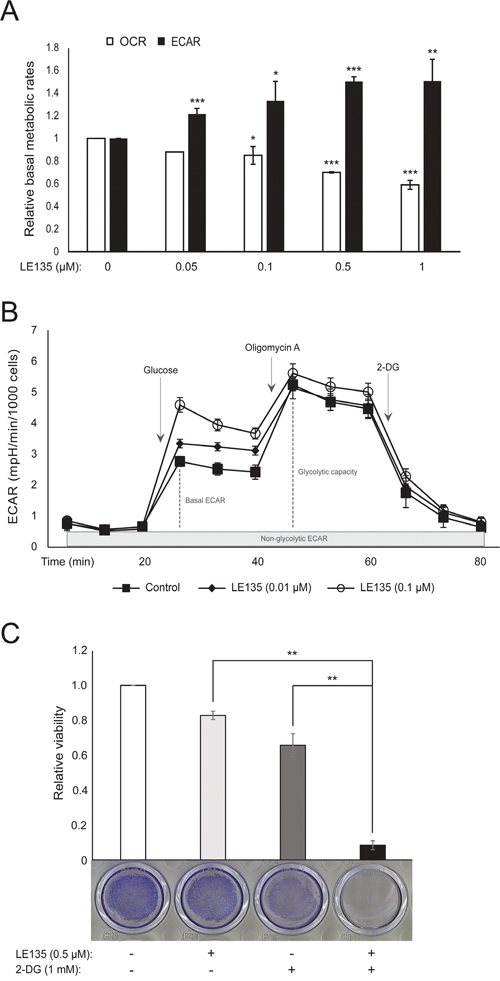 The effect of inhibiting RAR&beta; signaling on melanocyte metabolism.