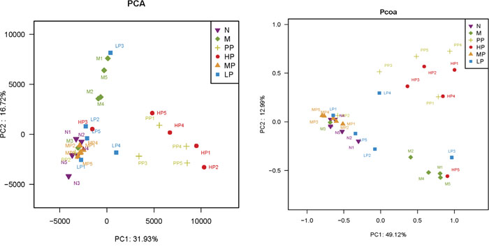 PCA (left) and PCoA (right) analysis of variation between the bacterial communities present in all biopsy samples.