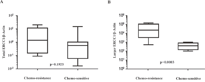 Comparison of normal and larger ERCC1 transcript expression in chemoresistant and chemosensitive patients&#x2019; specimen.