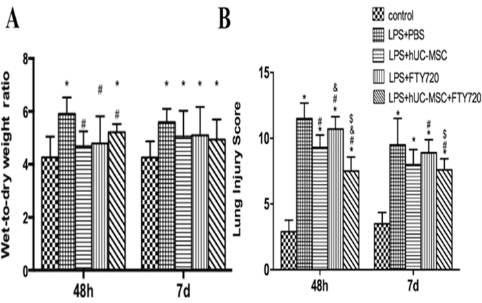 Quantification of lung edema and injury in LPS-challenged mice.