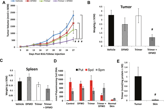 B16F10-sTAC tumor growth inhibition with DFMO and Trimer PTI.