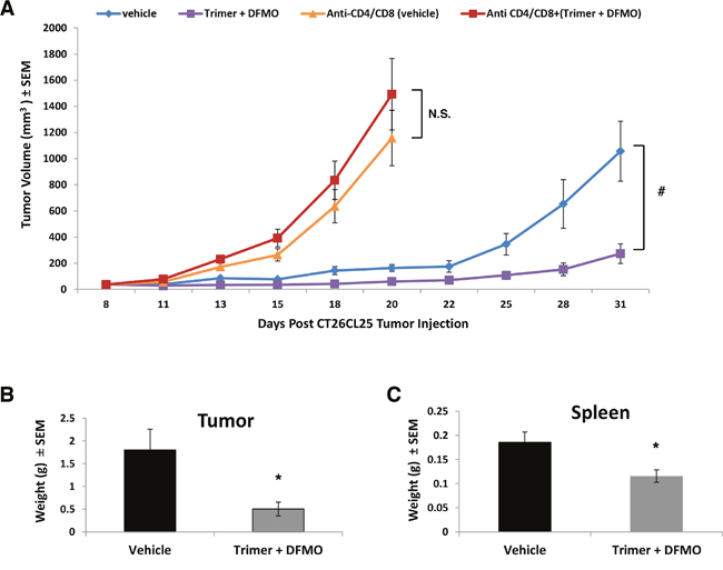 Depletion of CD4+ and CD8+ T-cells reverses PBT inhibition of tumor growth.