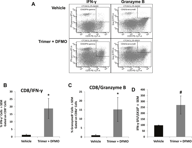 Co-treatment with DFMO and Trimer PTI increases the cytotoxic T-cell activity in the tumor.