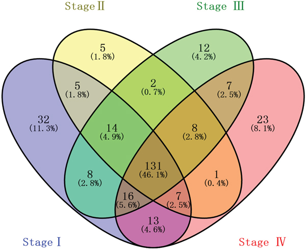 Venn diagram analysis of differentially expressed lncRNAs in gastric cancer.