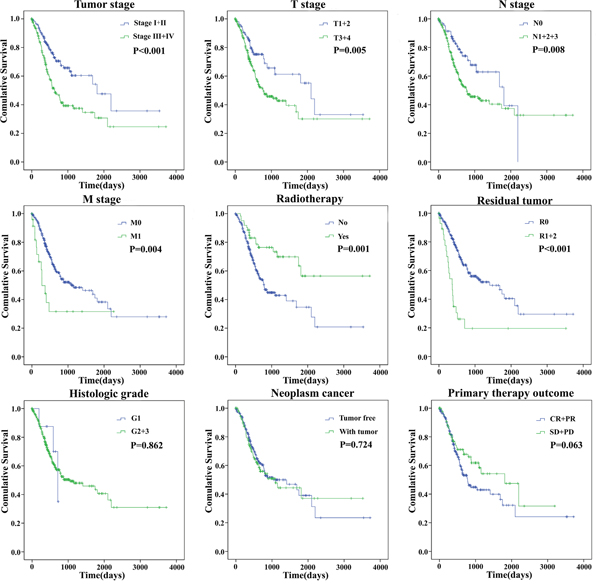 The prognostic value of different clinical features for overall survival of gastric cancer patients.