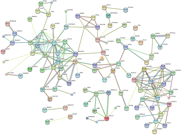 The map represents the protein-protein interaction network of co-expressed genes.