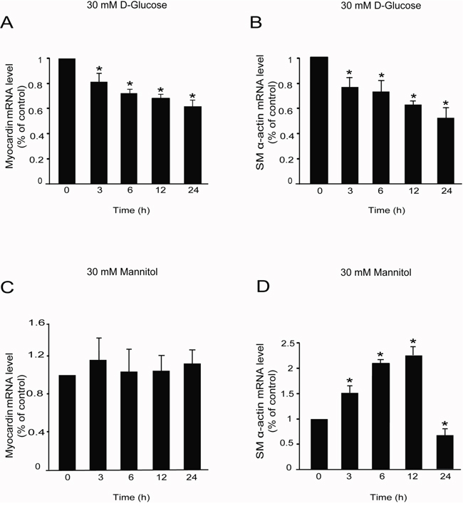 High glucose decreased myocardin and SM &#x03B1;-actin mRNA levels.