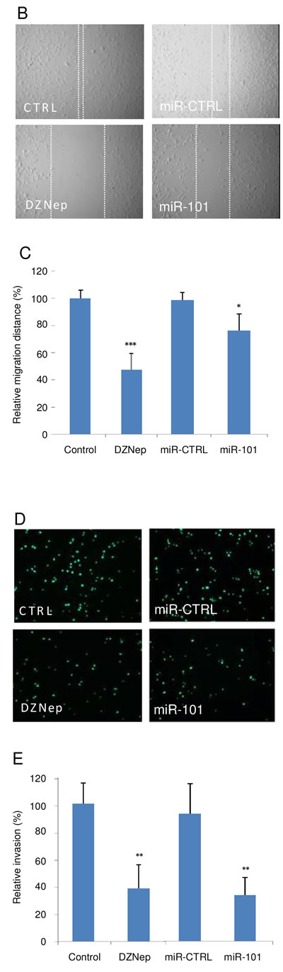 fig4b